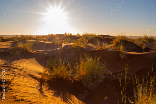 Red dunes of Elim in Namib, Sesriem, Namibia