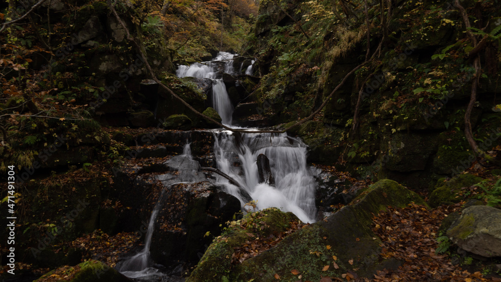 waterfall in the forest waterfall in the forest