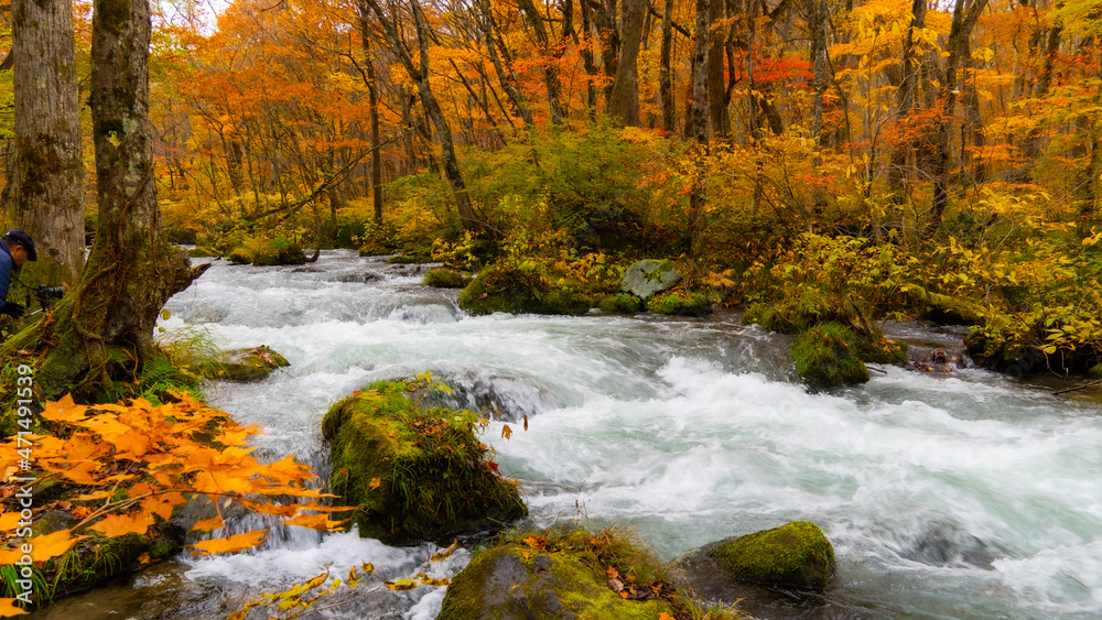 waterfall in autumn