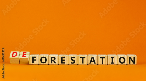 Forestation or deforestaion symbol. Turned wooden cubes and changed the word deforestation to forestation. Beautiful orange background, copy space. Ecological, forestation or deforestaion concept. photo