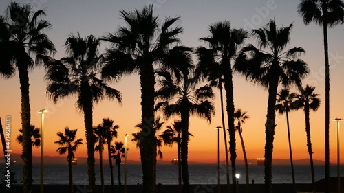 California sunset with palm trees in November