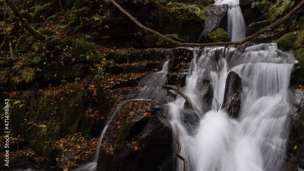 Fototapeta premium waterfall in the forest