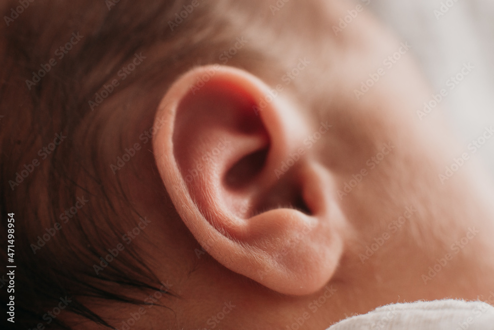 Naklejka premium newborn's ear