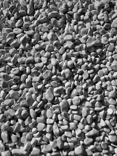 Black and white photo of pebble