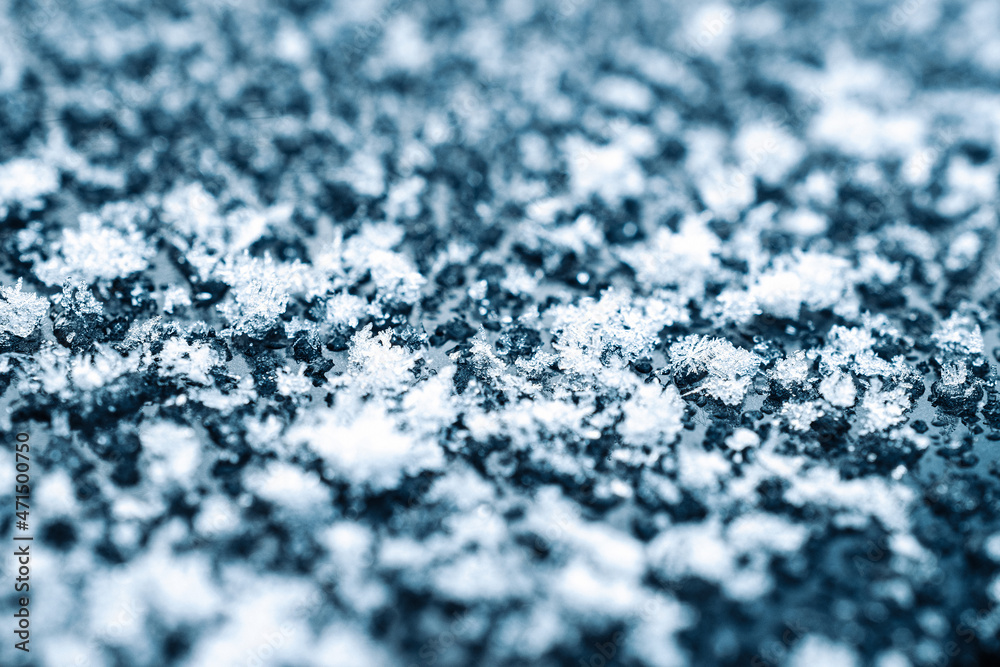 Obraz premium Frosting macro. Cold snow winter background. Blue crystal frozen abstract pattern. White frost ice texture.