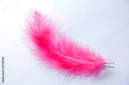Pink feather on a white background. Ease in everything
