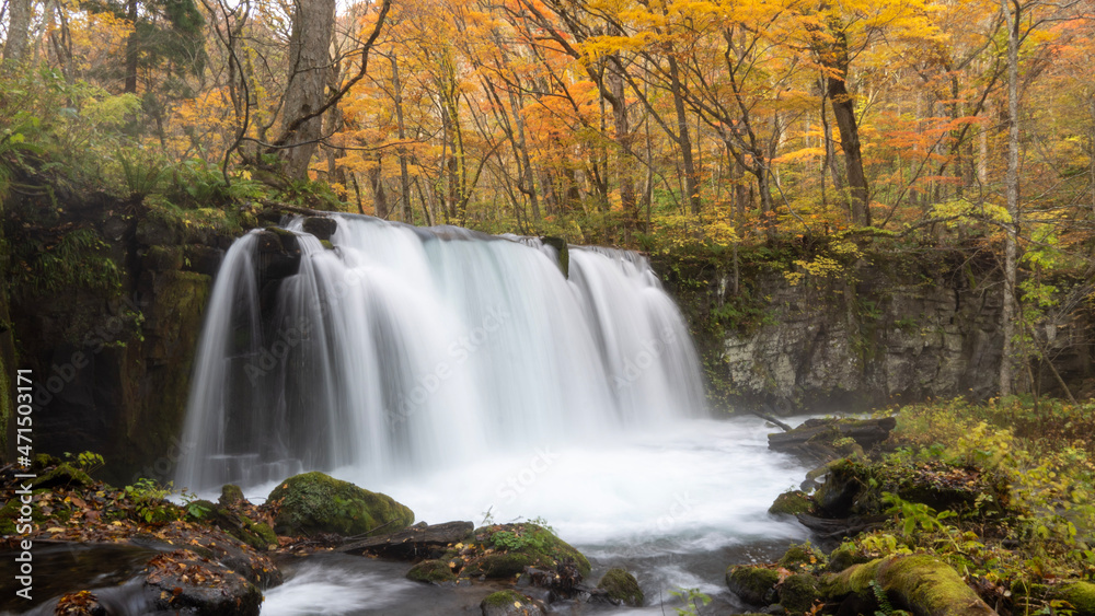 waterfall in autumn