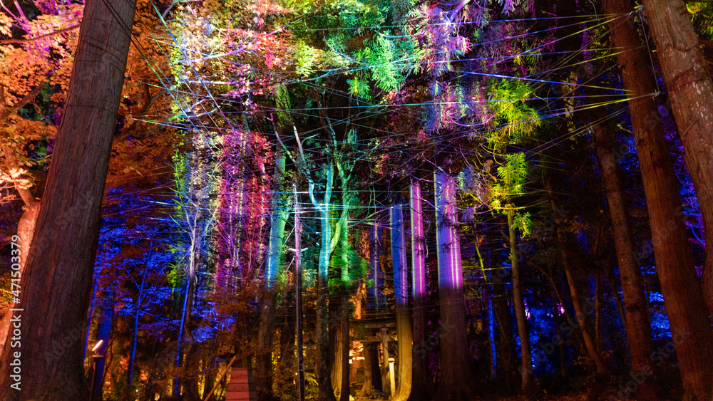 Obraz premium background