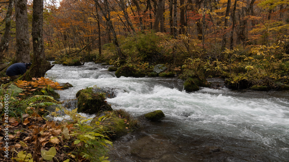 waterfall in autumn