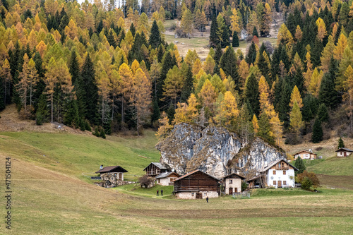 Trentino, abitazioni rurali in Val Canali photo