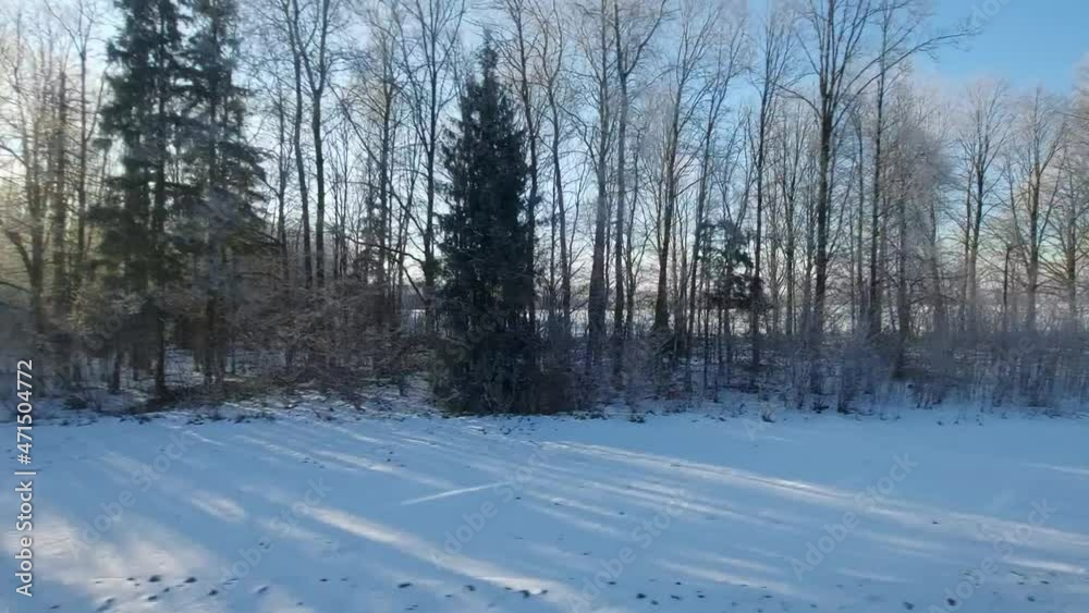 View from the train window on winter landscapes against the background of the sun. Snow on trees in the forest View from the train window on winter landscapes against the background of the sun. Snow on trees in the forest