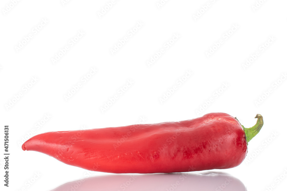 One red sweet pepper, close-up, isolated on white.