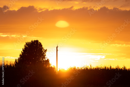 Silhouettes of a tree on firely orange background. photo