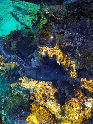 Top down view of coral reef in the crystal clear water of the Red sea. Egypt, Sharm El-Sheikh.