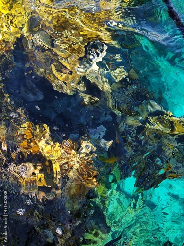 Top down view of coral reef in the crystal clear water of the Red sea. Egypt, Sharm El-Sheikh.