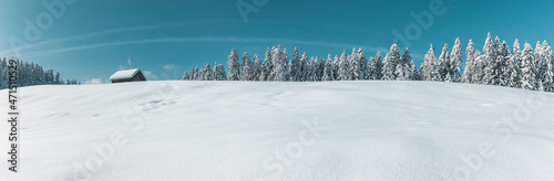 Schneelandschaft mitBlockhütte und Tannenwald