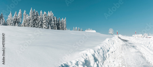 Schneelandschaft mit Strasse und Tannenwald