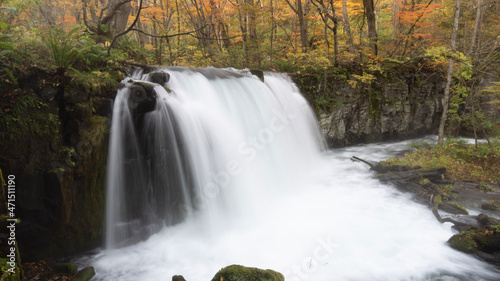 waterfall in the forest