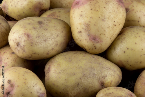 Pile of Freshly Picked Organic Potatoes Closeup View