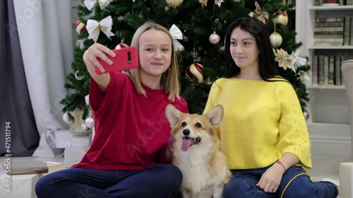 two teen girls Smiling making selfie photo together with a small dog corgi. Merry Christmas and Happy New Year. Christmas celebration. photo