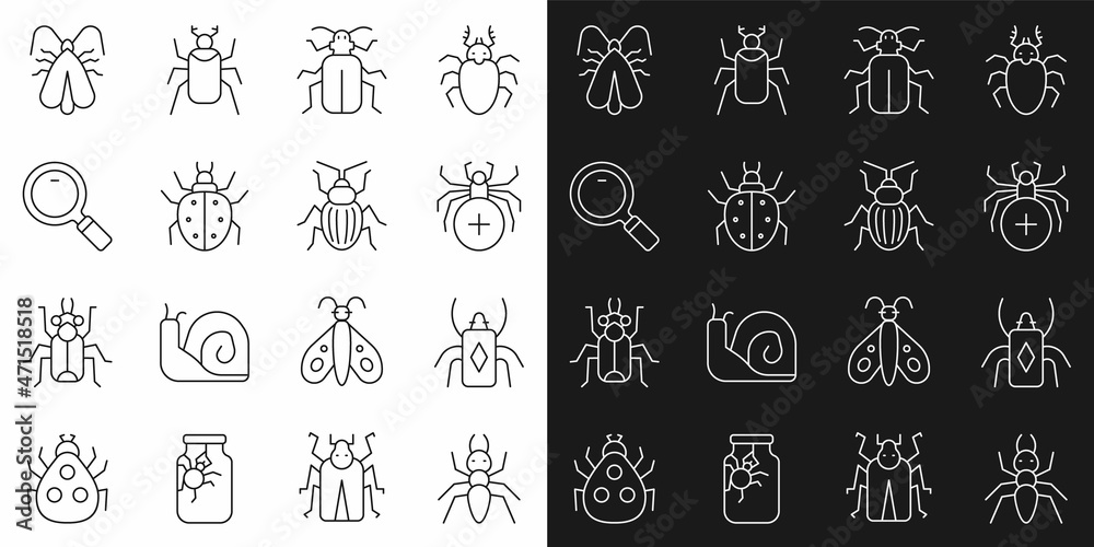 Set line Ant, Beetle bug, Spider, Chafer beetle, Mite, Magnifying glass, Clothes moth and icon. Vector