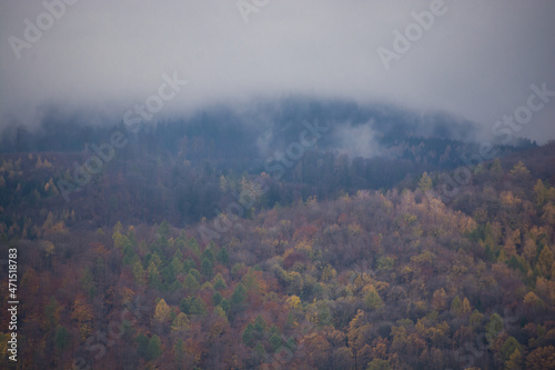 góry porośnięte lasem, mgła, kolory jesieni