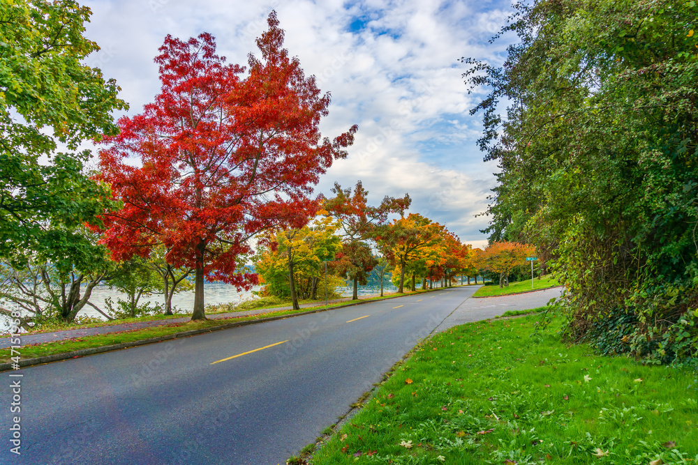 Scenic Fall Shoreline Landscape 5