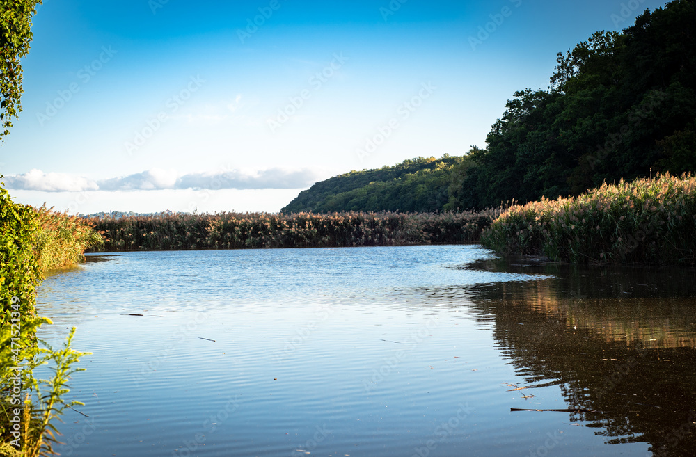 Obraz premium A marshy area on river canals with mountain backdrop 