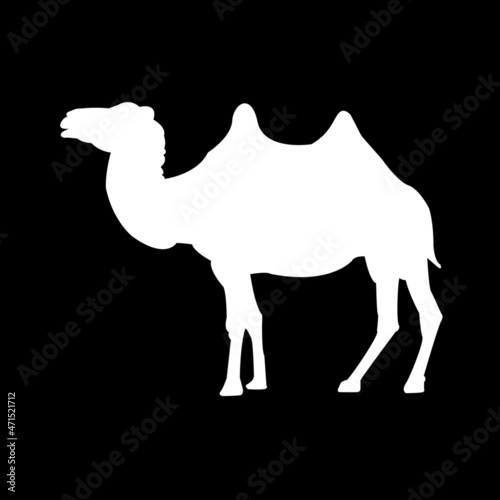 white camel stencil on a black background