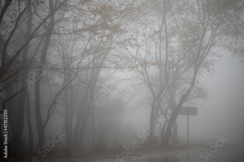 Fototapeta Naklejka Na Ścianę i Meble -  Rainy day with fog at Parnitha, Greece
