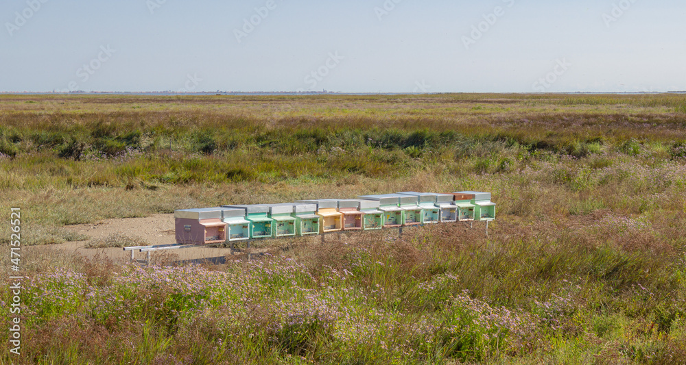 Colored bee hives in the Venetian valley. Artificial pastel-colored bee shelters in the middle of the marsh. Colored bee hives in the Venetian valley. Artificial pastel-colored bee shelters in the middle of the marsh.