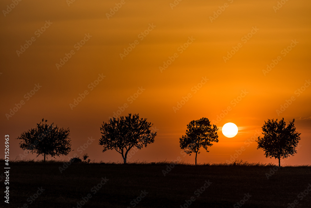 Summer sunset in the countryside