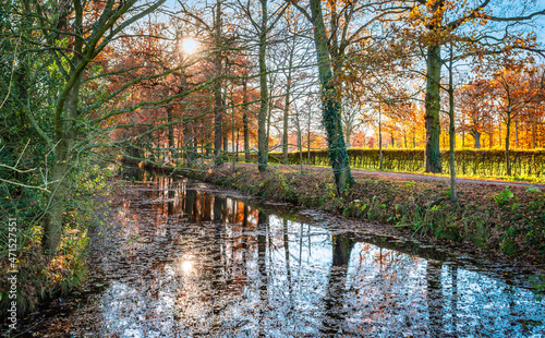 Beautiful autumn scene with a wide stream along the deciduous trees during sunset.