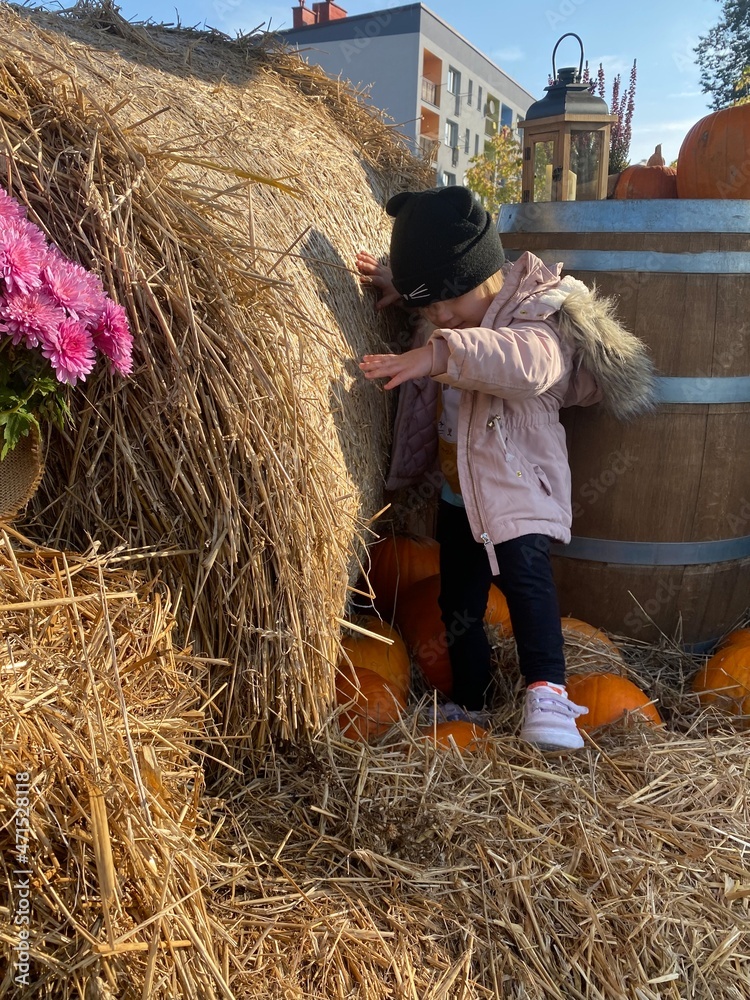 child in the hay