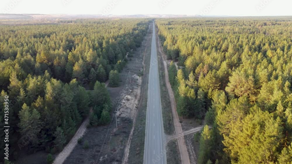 aerial view of the road between the forest aerial view of the road between the forest