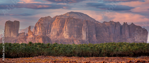 Al ula Oasis with rocky moutain in the background
