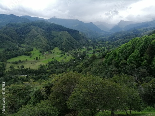 paysages sud-américains 