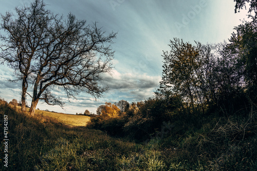 zwischen Lienzingen und Maulbronn