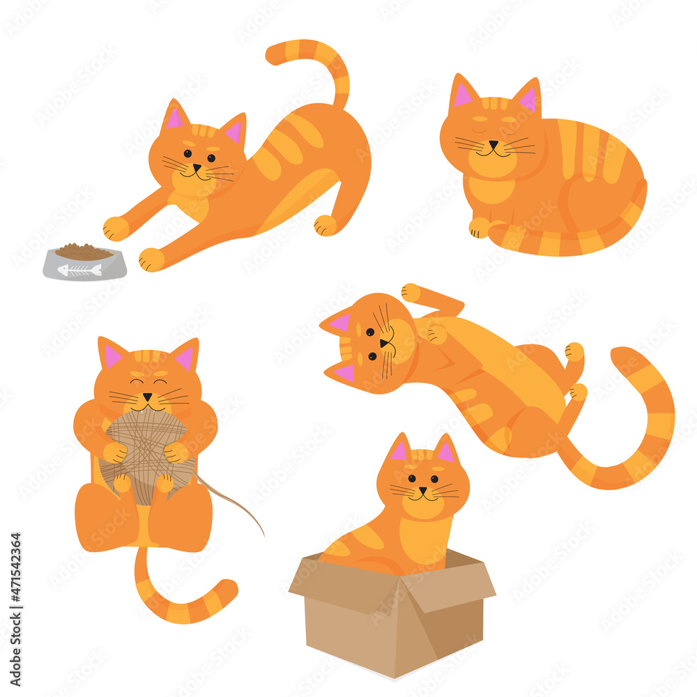 five ginger cats in different poses on a white background.  cat in a box. Set cats. the cat is playing. cat eating
