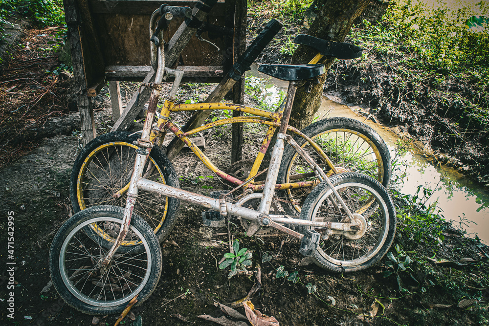 old bicycles in the garden