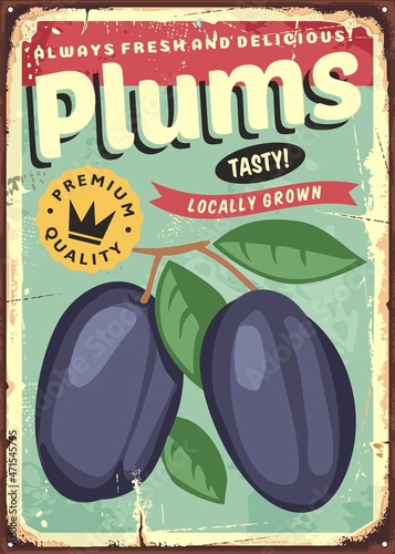 Plums vector poster. Always fresh and delicious plums retro sign design. Fruits market advertisement banner.