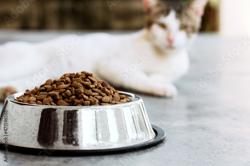 selective focus cup of cat food with a feline on background. animal croquettes concept. photo