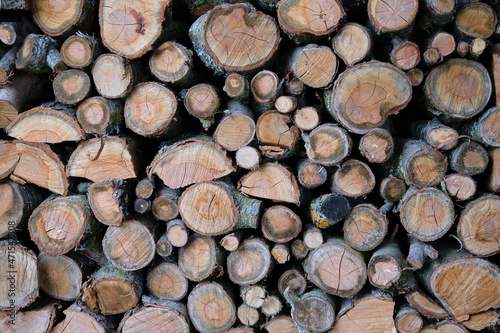 Stack of logs in yard