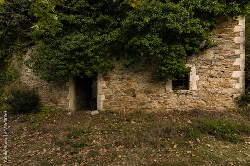 Fototapeta Naklejka Na Ścianę i Meble -  the old home in the forest 