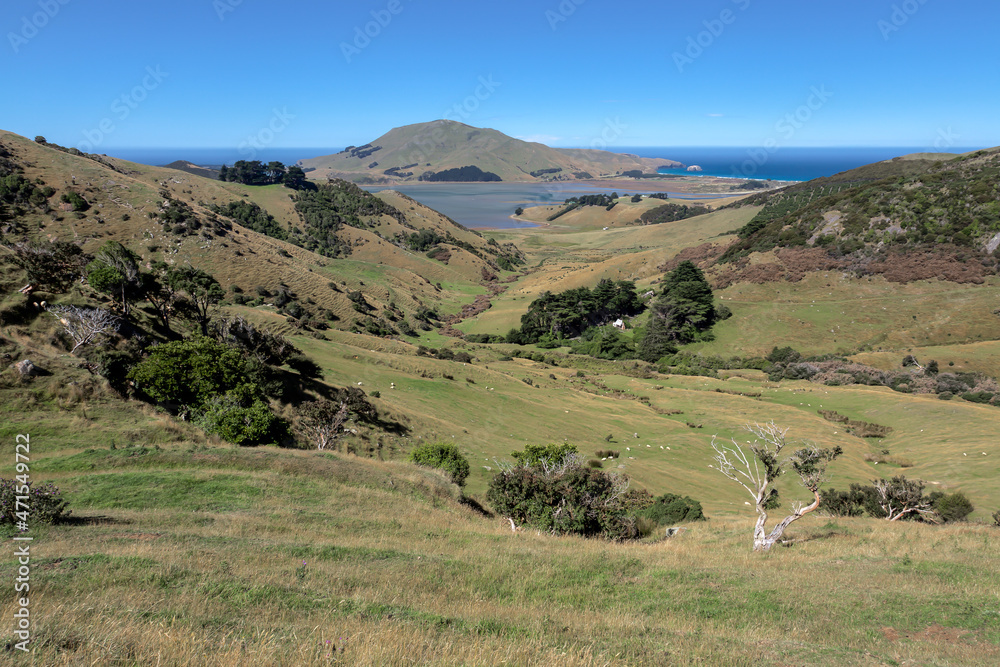 Scenic view of the  countryside in the Otago Peninsula