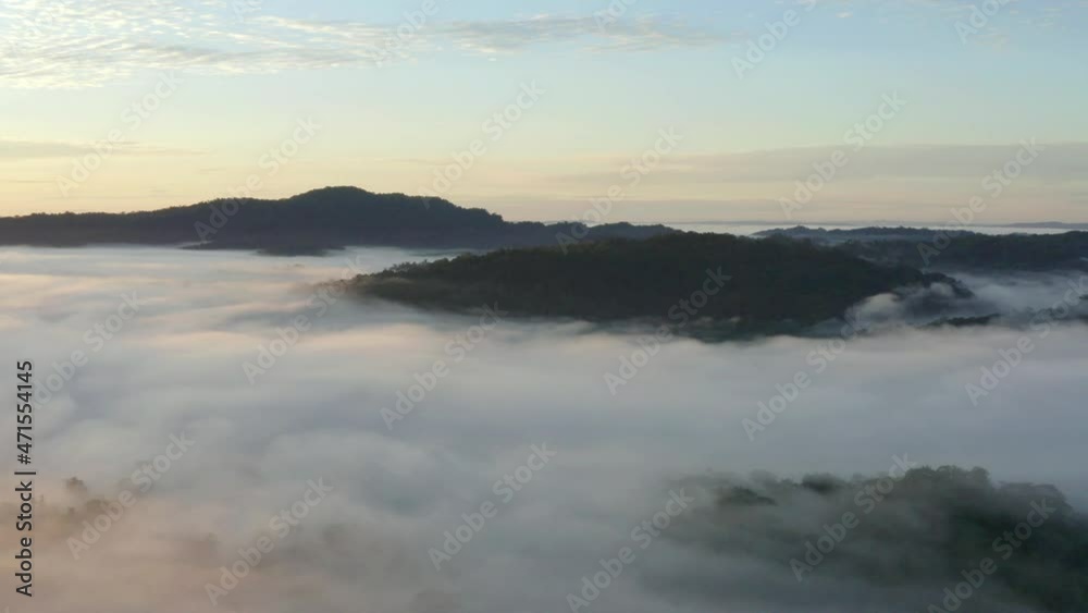 Cinematic aerial shot of a tropical forest covered in fog under a beautiful cloudscape: prime Amazon forest in Ecuador, South America Cinematic aerial shot of a tropical forest covered in fog under a beautiful cloudscape: prime Amazon forest in Ecuador, South America