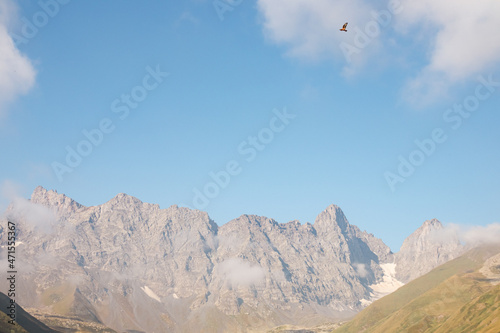 A hawk flying with panoramic view on the sharp mountain peaks of the Chaukhi Massif in the Greater Caucasus Mountain Range in Georgia, Kazbegi Region. Freedom, Wilderness. Georgian Dolomites.