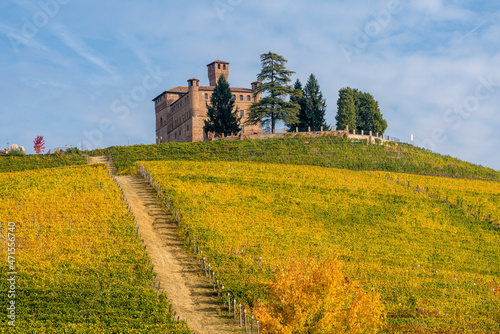 Beautiful hills and vineyards during fall season surrounding Grinzane Cavour Castle. In the Langhe region, Cuneo, Piedmont, Italy.