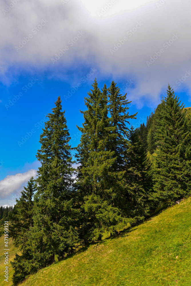 Bregenzerwaldgebirge in Schoppernau-Au / Vorarlberg Bregenzerwaldgebirge in Schoppernau-Au / Vorarlberg