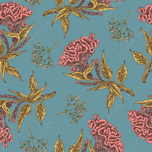 Vintage blue seamless pattern. Flowers of celosia cristata. Color. Engraving style. Vector illustration.